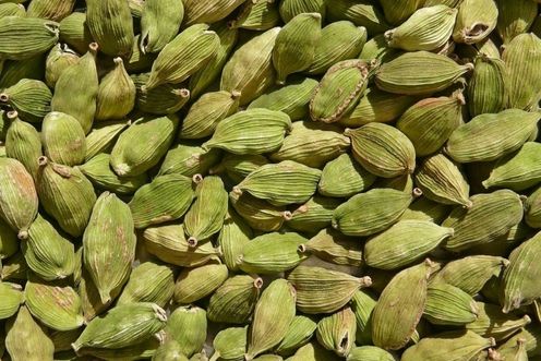 CARDAMOM