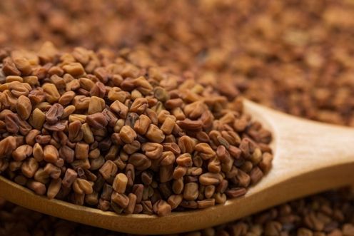 FENUGREEK